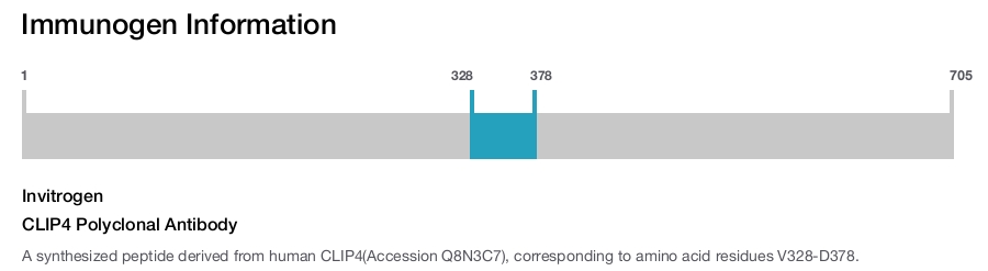 CLIP4 Polyclonal Antibody
