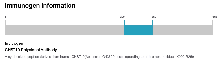 CHST10 Polyclonal Antibody