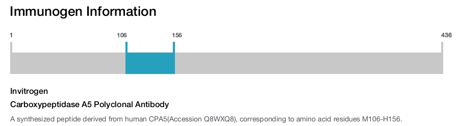 Carboxypeptidase A5 Polyclonal Antibody