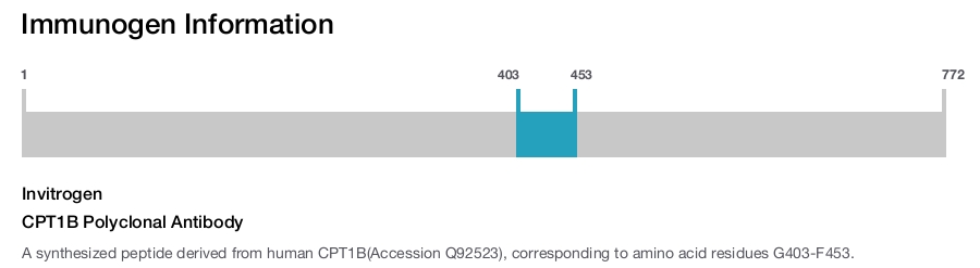 CPT1B Polyclonal Antibody