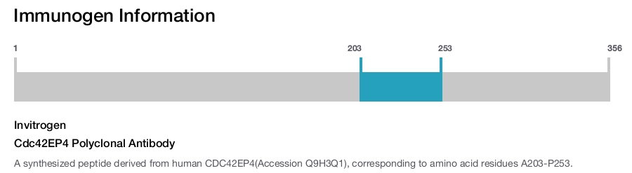 Cdc42EP4 Polyclonal Antibody
