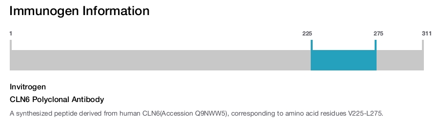 CLN6 Polyclonal Antibody