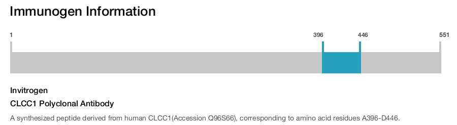 CLCC1 Polyclonal Antibody