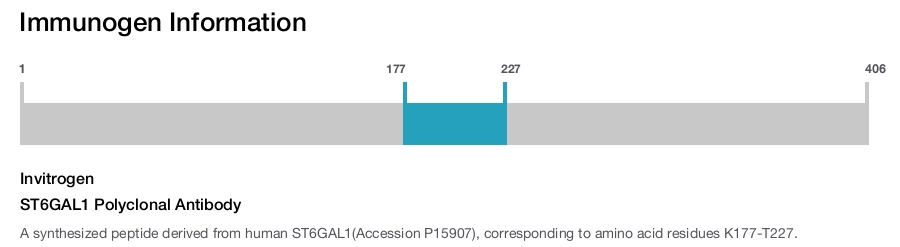 ST6GAL1 Polyclonal Antibody
