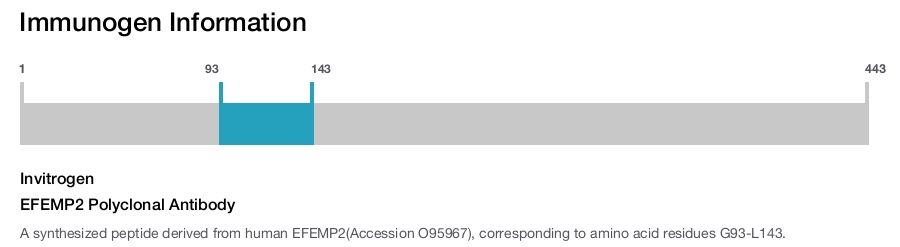 EFEMP2 Polyclonal Antibody