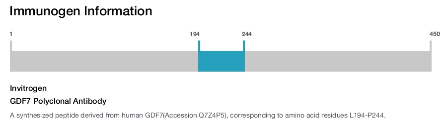 GDF7 Polyclonal Antibody