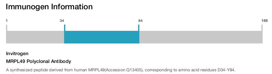MRPL49 Polyclonal Antibody