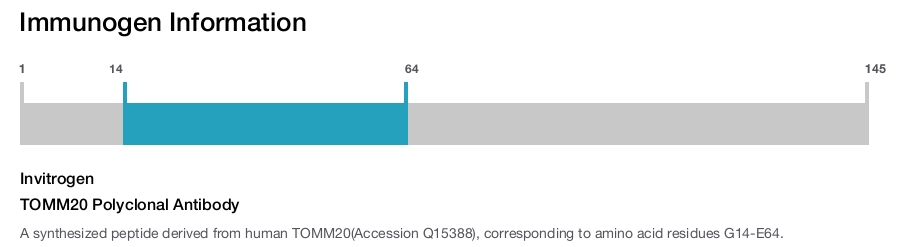 TOMM20 Polyclonal Antibody