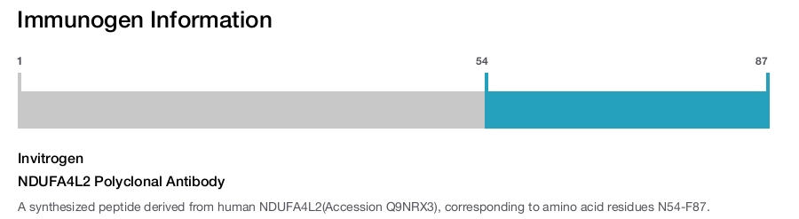 NDUFA4L2 Polyclonal Antibody