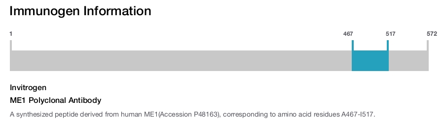 ME1 Polyclonal Antibody