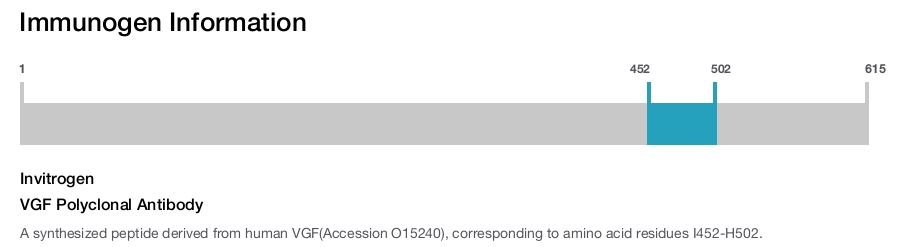VGF Polyclonal Antibody