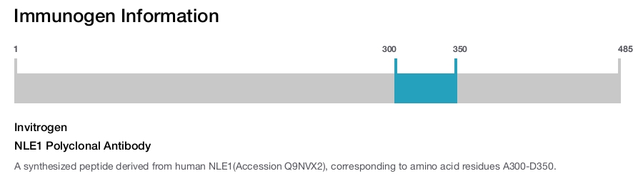 NLE1 Polyclonal Antibody