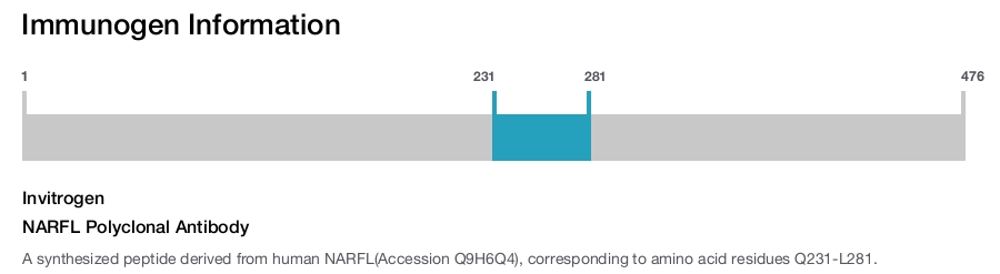 NARFL Polyclonal Antibody
