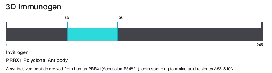 PRRX1 Polyclonal Antibody