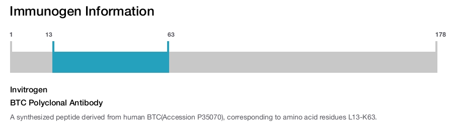 BTC Polyclonal Antibody