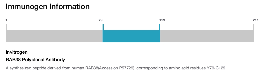 RAB38 Polyclonal Antibody