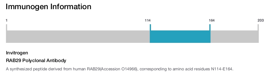 RAB29 Polyclonal Antibody