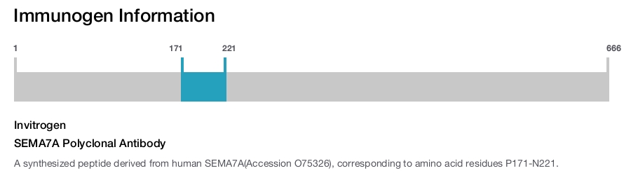 SEMA7A Polyclonal Antibody