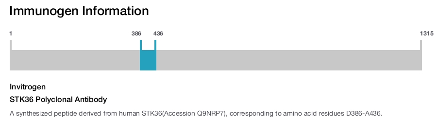 STK36 Polyclonal Antibody