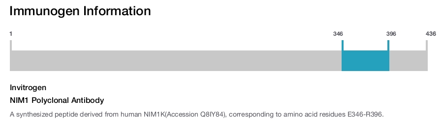 NIM1 Polyclonal Antibody