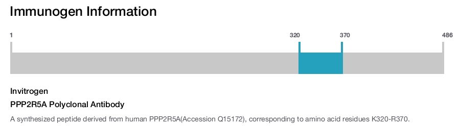 PPP2R5A Polyclonal Antibody