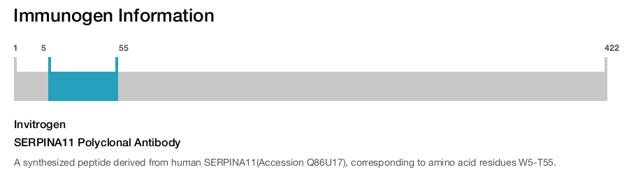 SERPINA11 Polyclonal Antibody