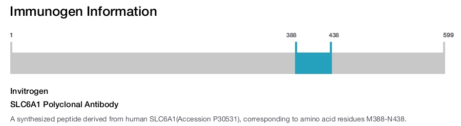 SLC6A1 Polyclonal Antibody