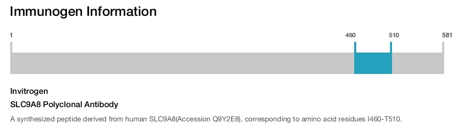 SLC9A8 Polyclonal Antibody