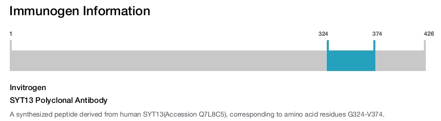 SYT13 Polyclonal Antibody
