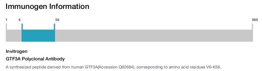 GTF3A Polyclonal Antibody
