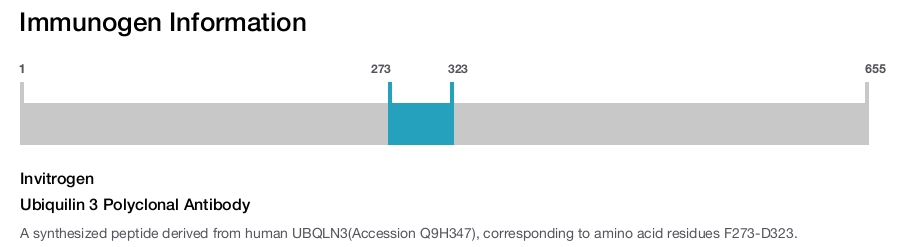 Ubiquilin 3 Polyclonal Antibody