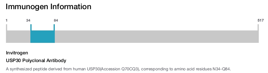 USP30 Polyclonal Antibody
