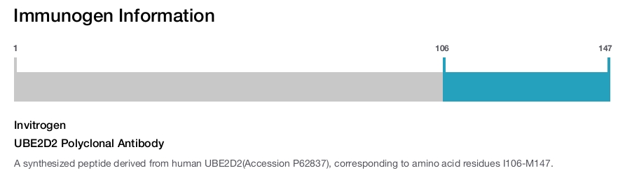 UBE2D2 Polyclonal Antibody