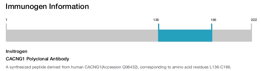 CACNG1 Polyclonal Antibody