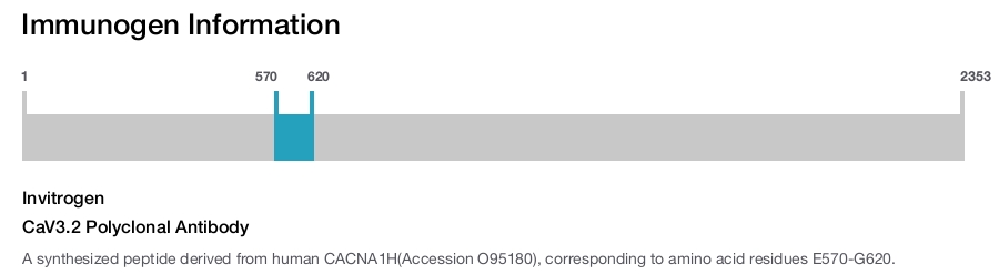 CaV3.2 Polyclonal Antibody