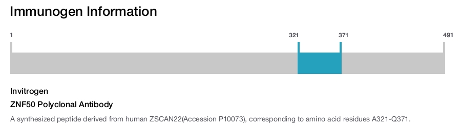 ZNF50 Polyclonal Antibody