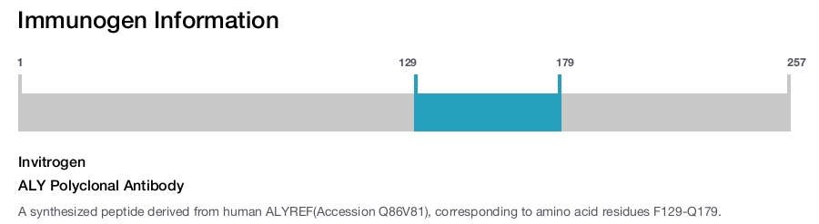 ALY Polyclonal Antibody