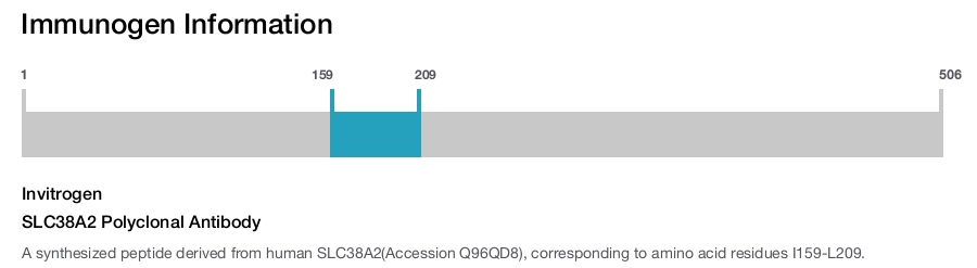 SLC38A2 Polyclonal Antibody