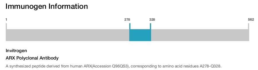ARX Polyclonal Antibody