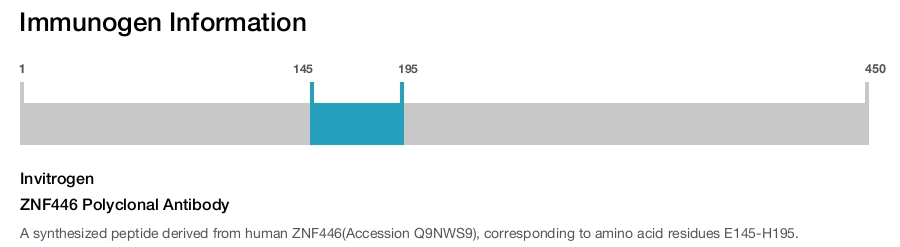 ZNF446 Polyclonal Antibody