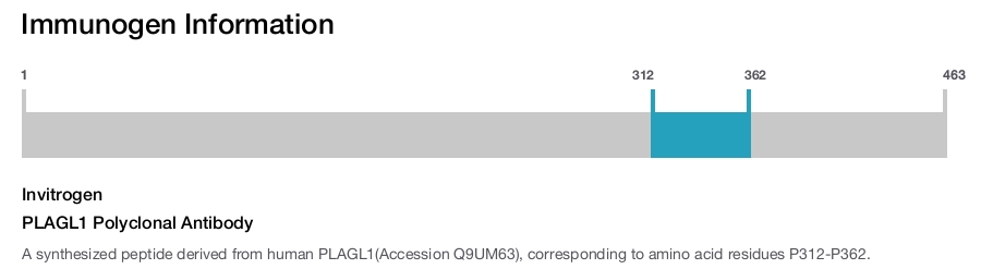 PLAGL1 Polyclonal Antibody