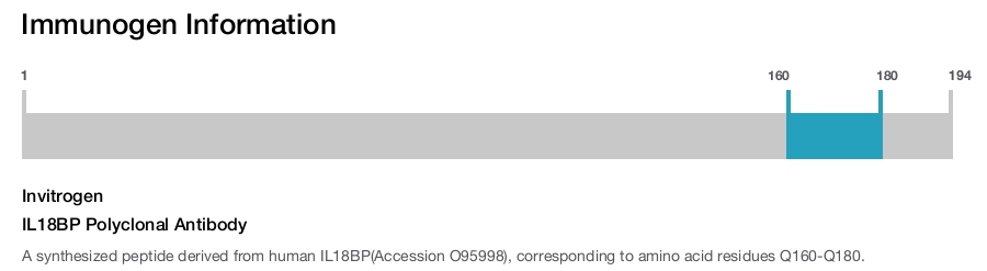 IL18BP Polyclonal Antibody