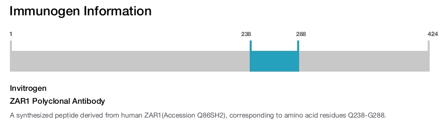 ZAR1 Polyclonal Antibody