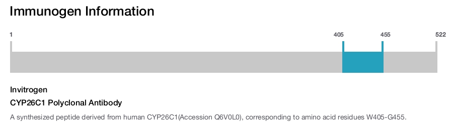 CYP26C1 Polyclonal Antibody