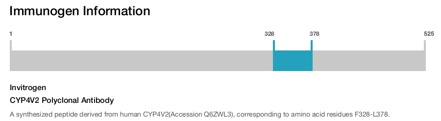 CYP4V2 Polyclonal Antibody