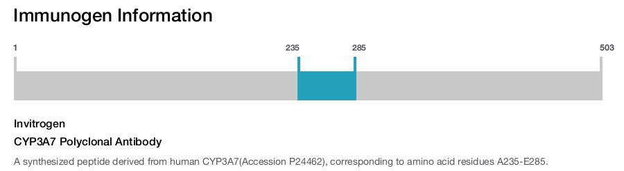 CYP3A7 Polyclonal Antibody