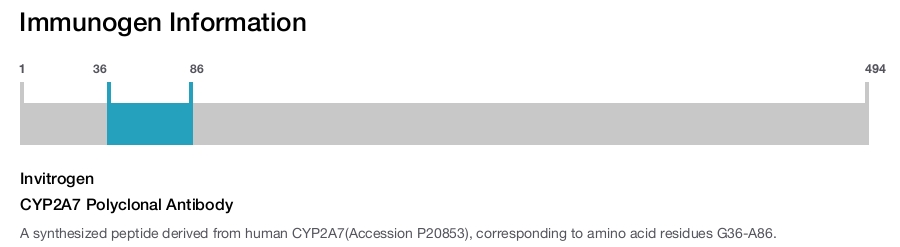 CYP2A7 Polyclonal Antibody