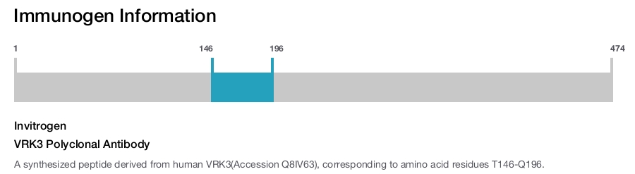 VRK3 Polyclonal Antibody