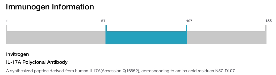 IL-17A Polyclonal Antibody