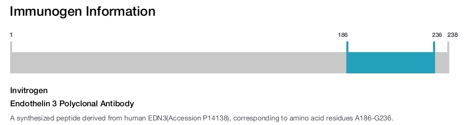 Endothelin 3 Polyclonal Antibody